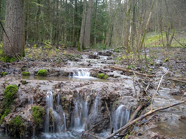 Nel  Regno  della  Jurana